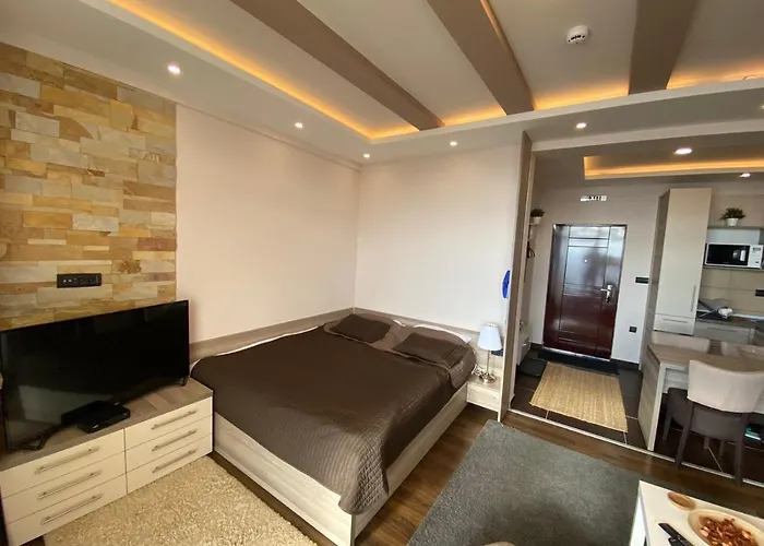 Milmari Mountain View - I11 * Kopaonik