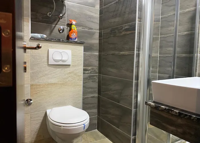 Milmari Mountain View - I11 Daire Kopaonik